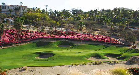 Cinco campos de golf en México. Cabo del Sol Golf Club