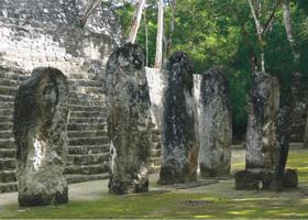 Estelas en la Acrópolis de Calakmul.