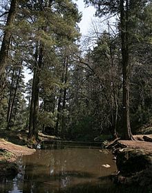 Áreas naturales de México. Corredor Biológico Chichinautzin