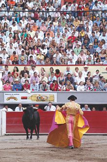 Corridas de Toros