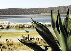 Lago Alchichica.
