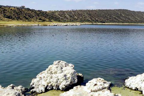Lago Alchichica.- Estromatolitos