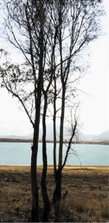 Lago La Preciosa.