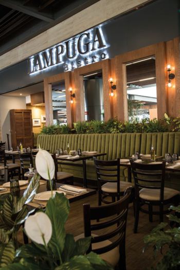 Lampuga bistro