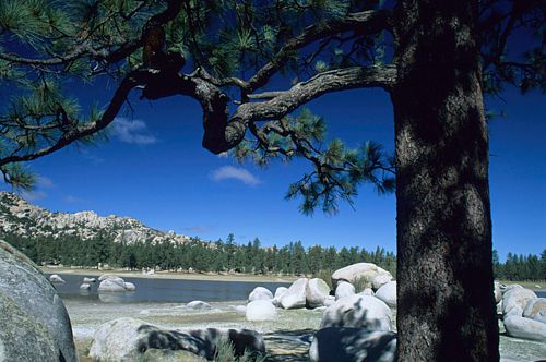 Parque Nacional Constitució́n de 1857. Lago Hanson y pinos.