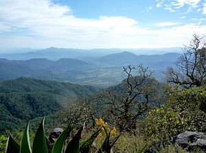 Sierra de Manantlán