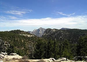 Sierra de San Pedro. Baja California.