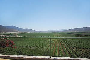 Valle de Guadalupe. Ensenada, Baja California.