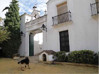 Baena. Cortijo Suerte Alta