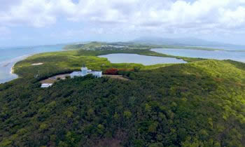 Bahía Mosquito. Bahías Bioluminiscentes. Puerto Rico