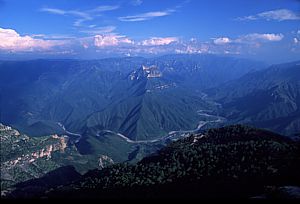 Barranca de Urique. 