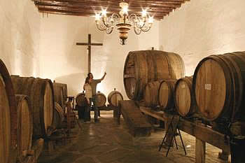 Vitivinicola Bodegas del Vesubio