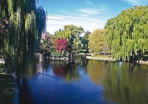 Boston Common