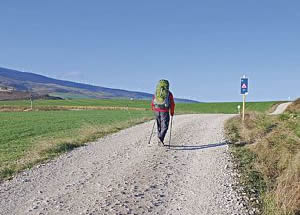 Caminos de Santiago.