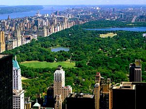 Central Park. Nueva York.