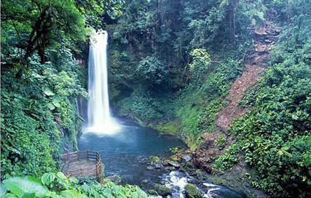 Mariposario.- Jardín de cascadas Vara Blanca, Costa Rica