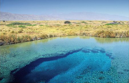 Poza Azul. Cuatrociénegas.