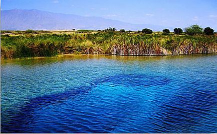 Cuatrociénegas.- La Poza Azul. Coahuila.