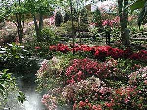 Arboretum y jardín botánico. Dallas.