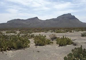 Desierto de Mapimí