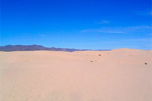 Dunas de Bilbao. Coahuila.