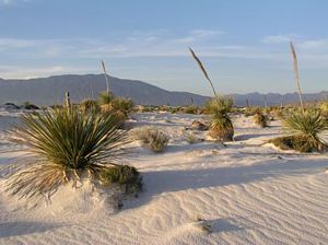 Dunas de Yeso