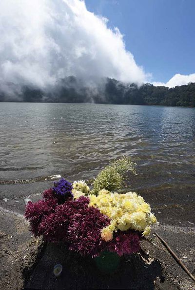 Flores a orillas del lago Chicabal