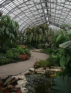 Garfield Park Conservatory. Chicago.