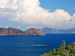 Golfo de California. Tesoros submarinos.