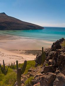 Isla de Espíritu Santo. Tesoros submarinos.