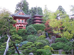 Japanese Tea Garden. San Francisco, California.
