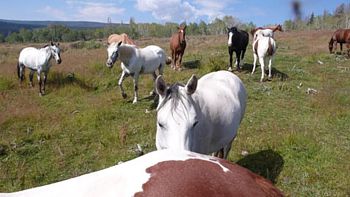 Latigo Ranch. Vivir el lejano Oeste en Colorado.