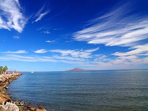 Mar de Cortés. Tesoros submarinos.