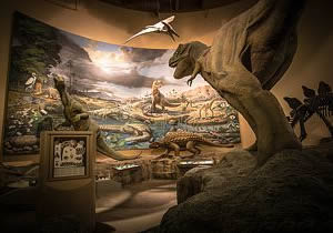 Museo de Historia Natural Fernbank