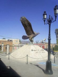 Museo de las Aves.
