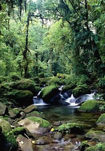Reserva de Monteverde, Costa Rica