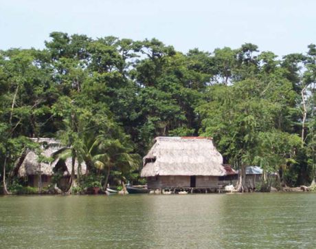 Ribera del lago de Izabal. Guatemala.