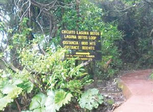 Sendero a la laguna Botos