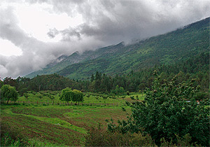 Sierra de Arteaga. Coahuila.