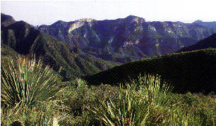 Sierra de Jimulco