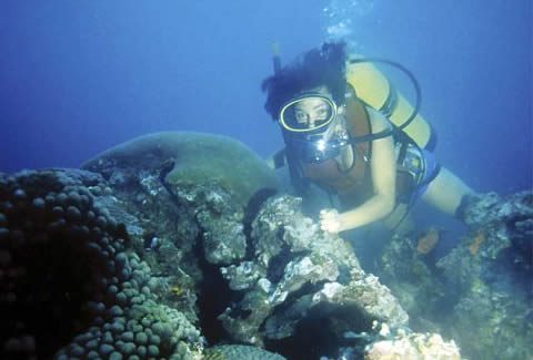 Buceo en los arrecifes del Caribe Mexicano