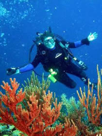 Buceo en Loreto