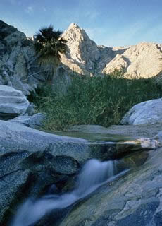 Cañón de Guadalupe