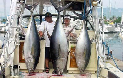 Pesca en Nuevo Vallarta