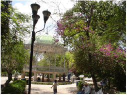 Jardín de San Marcos