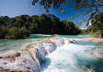 Bello entorno de la zona arqueológica de Palenque