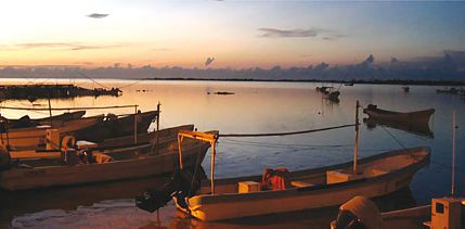 Botes pesqueros en Celestún