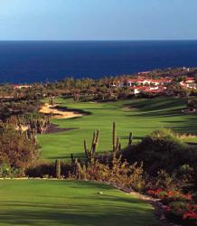 One and Only Palmilla. Golf