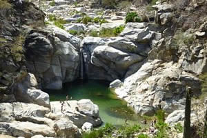 Sierra de la Laguna. BCS.