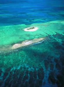 Banco Chinchorro. Costa Maya, Quintana Roo